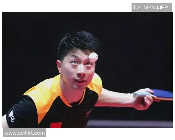 北京羽毛球队防守革新之路探索与实践的深度分析与展望