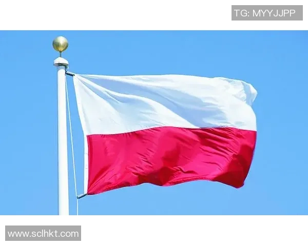 武汉乒乓球队逆袭之旅揭秘世界锦标赛背后的奋斗与荣耀