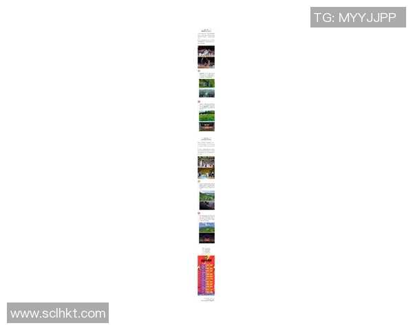 杭州篮球队在冠军赛中的强势表现与未来展望分析